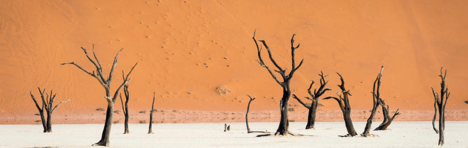 Namibia | Avventura Travels